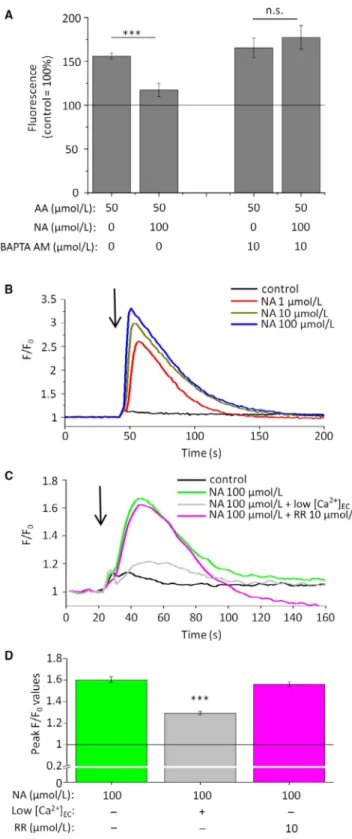 Figure 4A) and protein levels (immunofluorescence; Figure 4B). Next,  in  the  lack  of  potent  and  selective  antagonists, 14   siRNA‐mediated  selective gene silencing was applied, which resulted in a significant  decrease  in  both  mRNA  (Figure  5A)