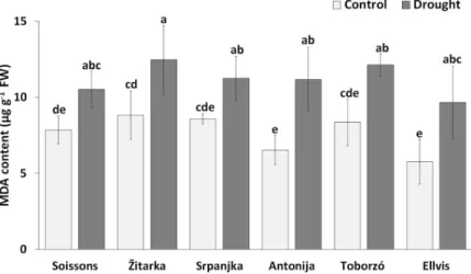 Fig 2. The MDA content in wheat genotypes under control and drought conditions. Values are means ± S.D.