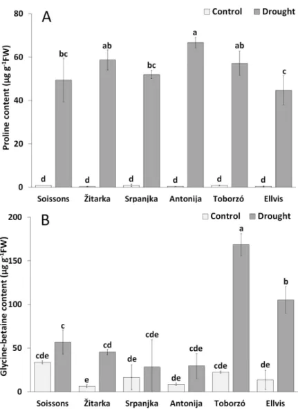 Fig 4. The changes of proline (A) and glycine betaine (B) contents of leaf saps of wheat genotypes grown under control and drought conditions