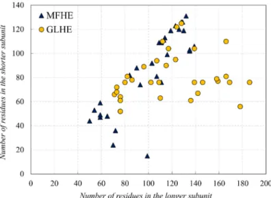 Figure 1. Comparison of the subunit lengths of the Mutual Synergistic Folding (MSF) (MFHE—blue triangles) and globular (globular heterodimeric GLHE—yellow dots) heterodimeric complexes.