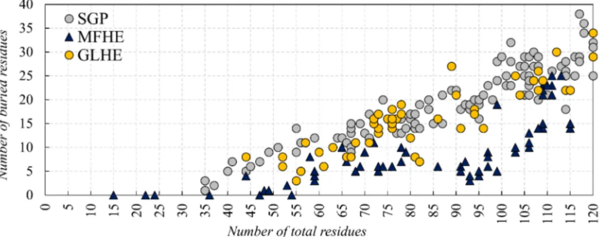 Figure 5. The number of total and buried residues of SGP (grey), GLHE (yellow) and MFHE (blue)