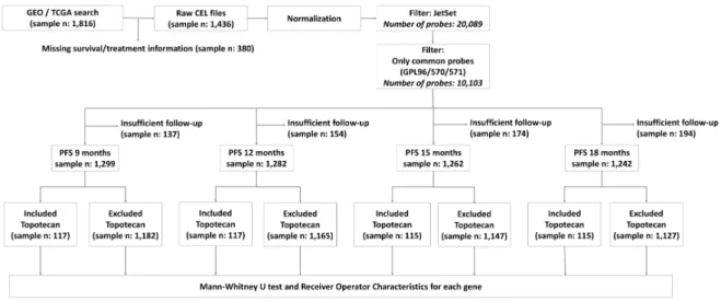 Figure 2. Analysis workflow for the database setup and the number of systemic chemotherapy-treated  (including/excluding topotecan) patients at each PFS-cutoff