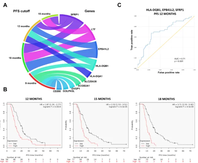 Figure 4. Significantly upregulated genes at the four different progression free survival (PFS) cutoff  points in the topotecan-treated patient cohort (A)