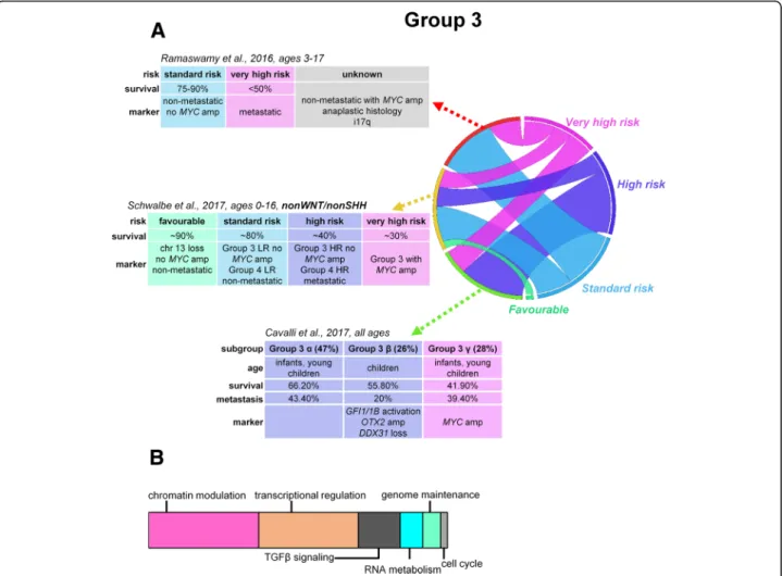 Fig. 2 Risk stratification, proposed prognostic biomarkers, and major mechanisms of tumorigenesis in group 3 medulloblastomas (a)