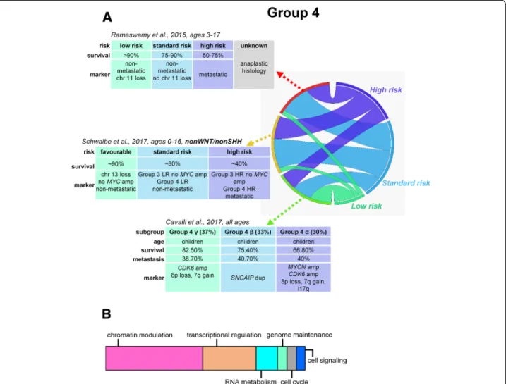 Fig. 3 Risk stratification, proposed prognostic biomarkers, and major mechanisms of tumorigenesis in group 4 medulloblastomas (a)