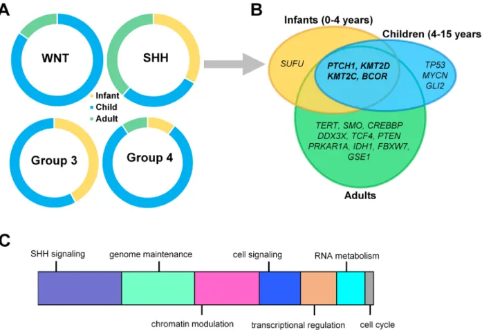Figure 1. Age-specific distribution of childhood medulloblastomas. (A) Infants, children, and adults are represented differently within each medulloblastoma subgroup