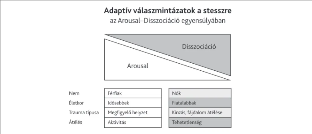 1. ábra. Adaptív válaszmintázatok a stresszre (Perry, 2004)