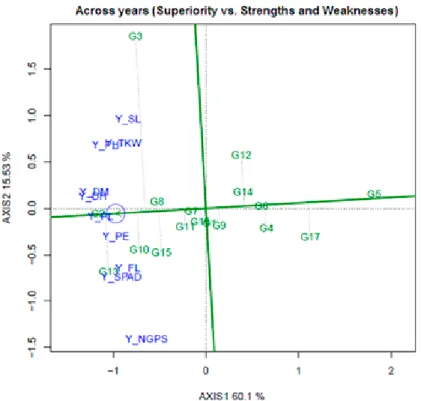 Figure 3. The ATC view of the genotype by yield*trait (GYT) biplot to rank the genotypes based on their  overall superiority and their strengths and weaknesses across years