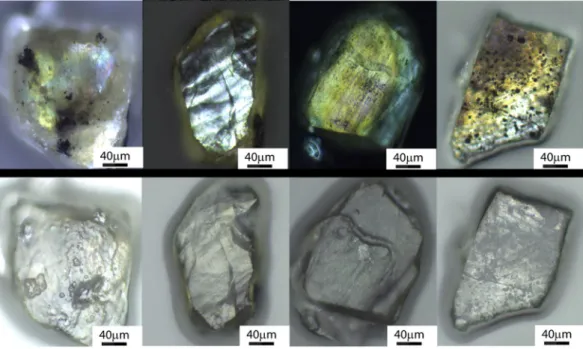 Figure 1.  Optical images of representative Popigai impact diamonds examined in this study obtained using  (top) transmitted and (bottom) reflected light