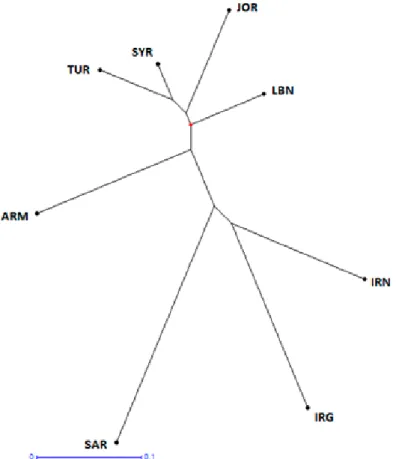 Figure 3. Dendrogram of T. urartu accessions from 8 countries based on Nei’s genetic distance