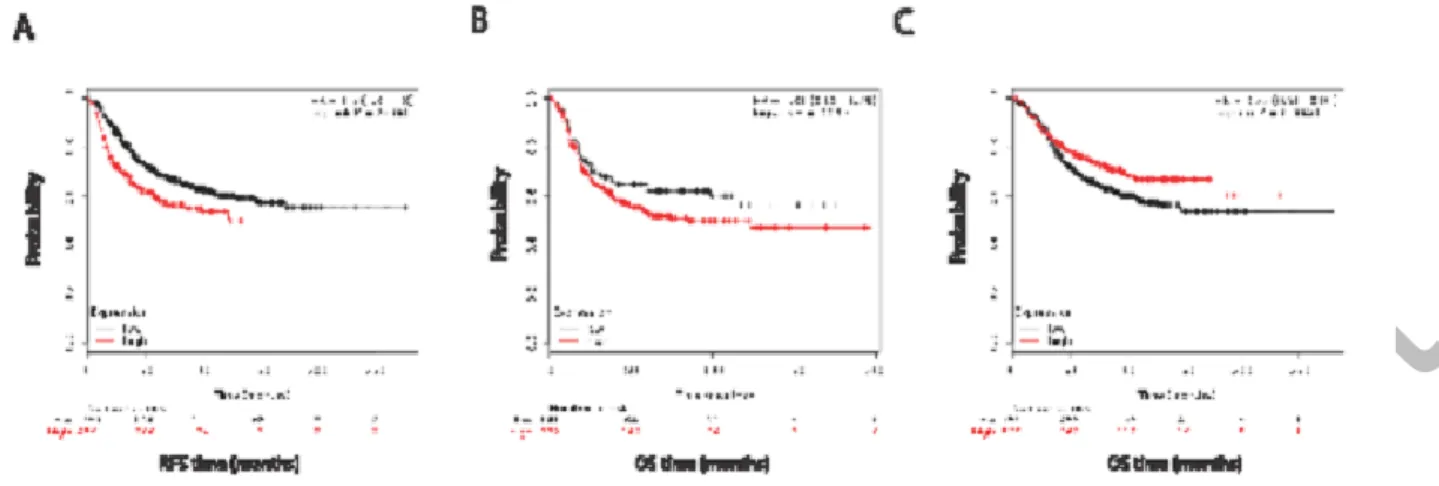 Figure  2:  Kaplan-Meir  and  cox  regression  analysis  of  ERRLR01 levels  and  OS  in  breast  cancer  patients