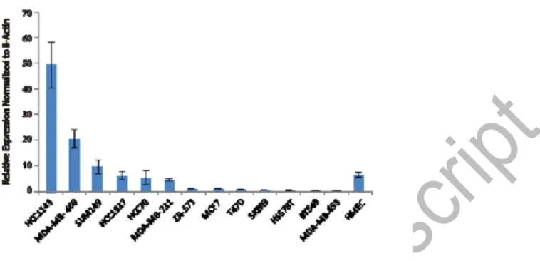 Figure  5:  Quantitative  PCR  analysis  of  ERRLR01  expression  across  a  panel  of  breast  cancer  cell  lines
