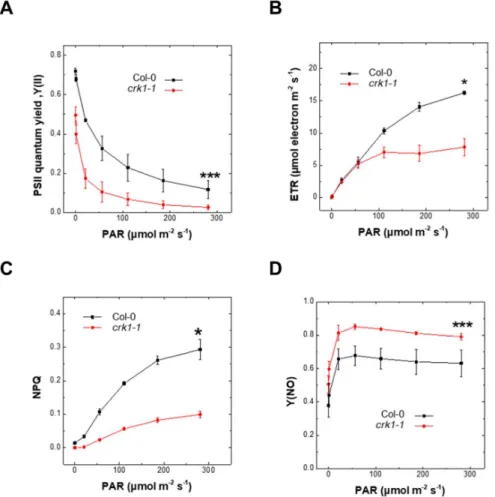 Figure  7. Photosynthetic  parameters  of Atcrk1-1  mutant  under  continuous  light. (A)  Effective PSII  quantum yield (Φ PSII )