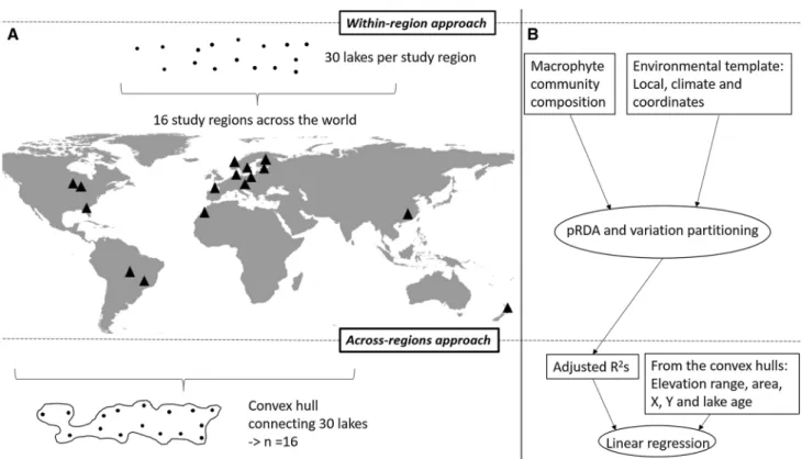 Fig. 1    Our study system comprised ca. 30 lakes surveyed in 16 meta- meta-communities (black triangles) across the world