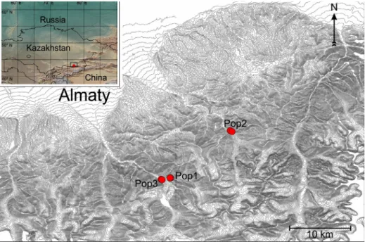 Fig. 1. Location of the currently known and studied populations of Oxytropis almaatensis in  the Tian Shan Mts in S Kazakhstan as displayed on an elevation map with contour lines