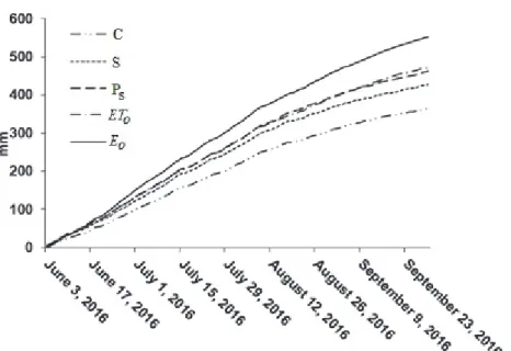 Fig. 4. Cumulative evaporations [mm] of Class A pan, implemented pan with macrophytes  (P s ), and implemented pan with sediment cover (S), and the reference evaporation, E o 