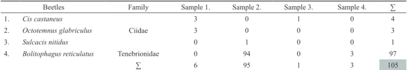 Table 2. Numbers of beetle individuals in Trametes gibbosa samples (1-4).
