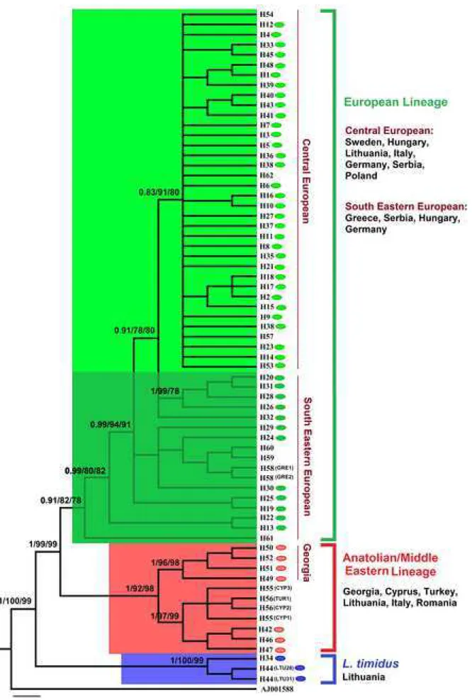 Figure 4 Click here to download Figure Figure 4_rev.jpg 