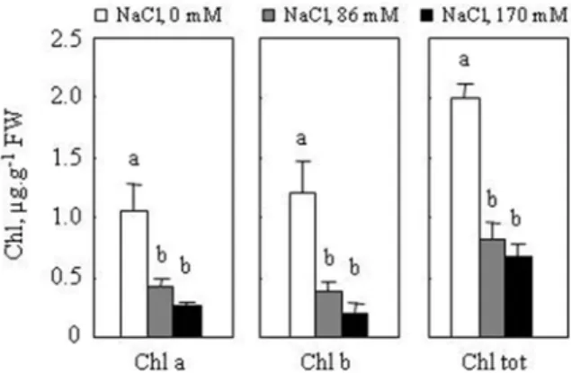 Fig. 3. Effect of different NaCl concentrations (0, 86 and 170 mM) on chlorophyll contents of M