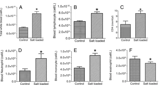 Fig. 2. Total white blood cell count (A), and the differential white blood cell concentration for lymphocytes (B), CD4 count (C), neutrophil (D), monocyte (E), and eosinophil (F) in blood samples from salt-loaded and control male rats.