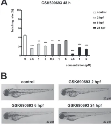 Fig. 2. GSK690693 affects hatching but not development in zebrafish embryos. A) Hatching rate of 48  hpf zebrafish embryos treated with GSK690693 at 2, 6 or 24 hpf