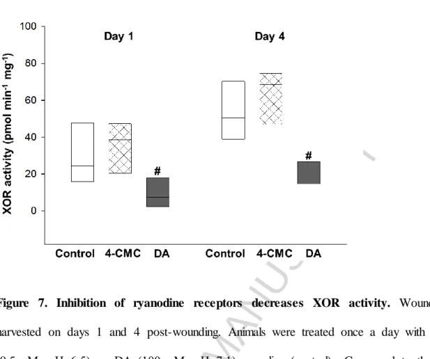 Figure  7.  Inhibition  of  ryanodine  receptors  decreases  XOR  activity.  Wounds  were  harvested  on  days  1  and  4  post-wounding
