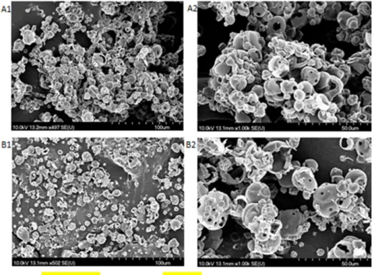 300  Figure 2. Micrographs of the MVPs particles using SEM with 500x magnification (A1, B1) and 1000x 