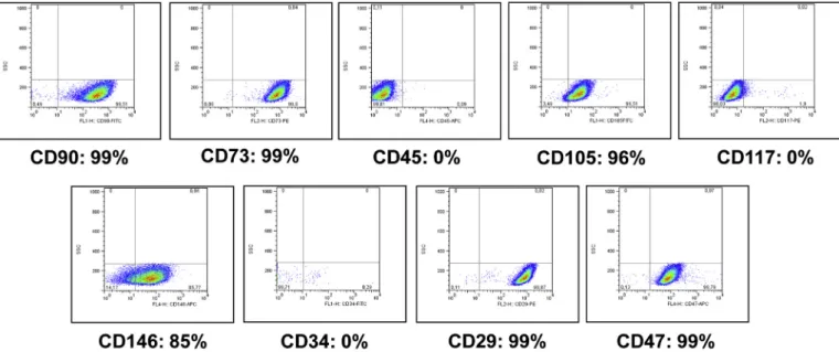 Fig. 2. CD marker expression analysis and immunophenotypic characterisation of hMSCs expanded in growth medium using FACS.