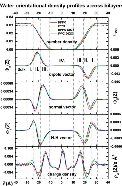 Figure 7 Profiles of number density and orientational functions of water and total charge density profile across the membrane/water  interfaces