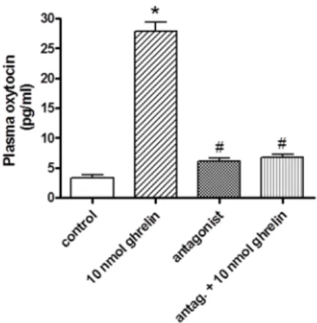 Figure 4. Effects of systemically (i.v.) administered ghrelin antagonist on the plasma oxytocin level  (expressed as pg/mL)