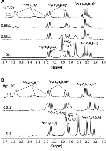 Figure 2.  1 H NMR spectra of DY obtained with varying equivalents of Hg 2+  per peptide at  pH = 5.7 (A) and 8.5 (B) (H 2 O:D 2 O = 90:10 % v/v, c DY  = 1.010 −3  M, T = 298 K)