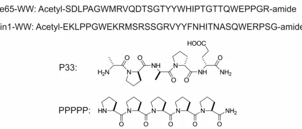Figure 2. Sequences of the WW domains (Fe65-WW domain, Pin1-WW domain), and chemical  structures of P33 and PPPPP