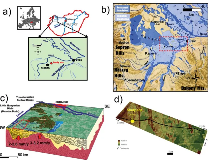 Fig. 1.  Location (a), paleohydrological conditions preceding the 19 th  century river regulations (b) and geomorphology of the study site Csorna-Lórét (d)  and its surroundings of the Danube Plain (c).