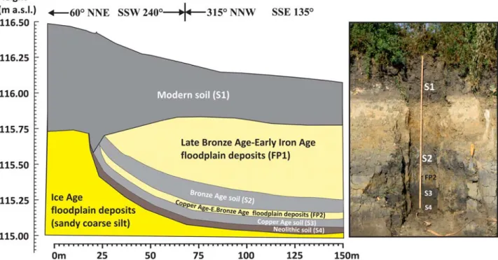 Fig. 3.  Geological cross-section of the studied composite profile displaying the spatial distribution of various facies types (S1 – modern soil, S2 – Bronze  Age soil, S3 and S4 – Copper Age and Neolithic soil, FP1 – Late Bronze Age–Early Iron Age floodpl