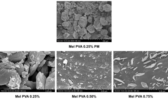 Figure 6 shows the raw Mel in physical mixture (Mel  PVA  0.50%  PM)  which  has  an  irregular  shape  with  34.260 ± 4.860  µ m as average particle size