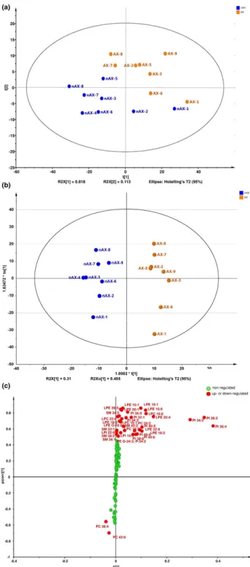 FIGURE 5 Multivariate data analysis of relative abundances of all plasma PL species in nAX and AX mouse: (a) principal component analysis plot, (b) OPLS ‐ DA plot and (c) the S ‐ plot of supervised OPLS ‐ DA method