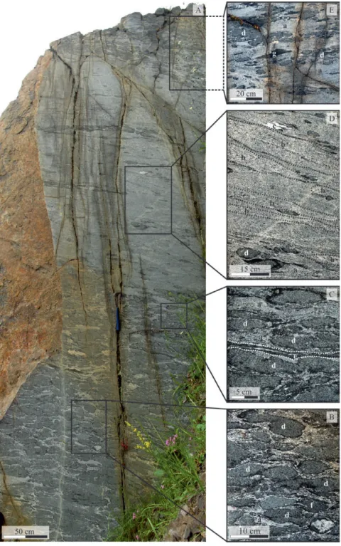 Figure 2. A — Representative field photographs showing the studied artifical outcrop within the Tarniţa Complex (Jolotca, Ditrău Alkaline Massif); B–C — Mafic enclaves are abundant especially in the lower part of the outcrop;