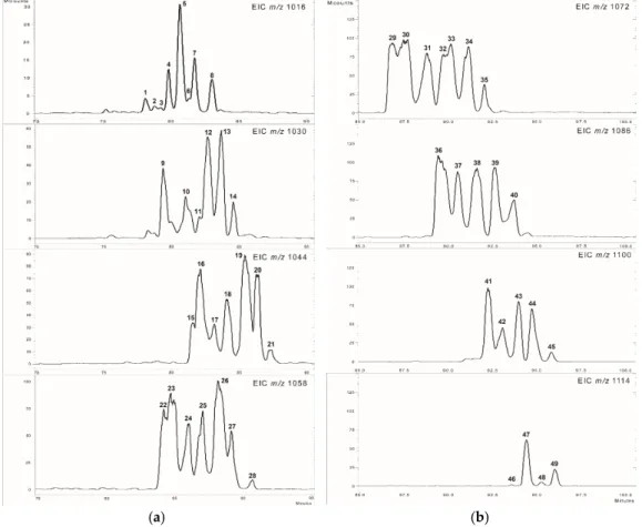 Figure 2. The extracted ion chromatograms of m/z 1016–1058 (a) and m/z 1072–1114 (b).