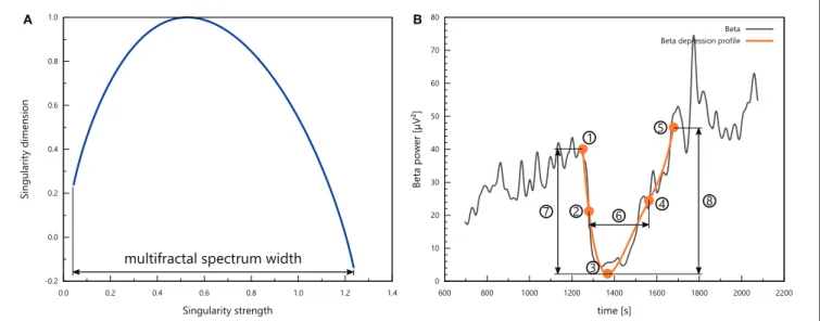 FIGURE 3 | (A) A representative multifractal spectrum with the definition of multifractal spectrum width