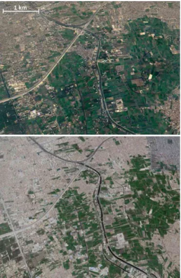 Fig.  11.5. Croplands turning into residential areas in Giza  (November 2010-A p ril 2018)  (Source: Google Earth)