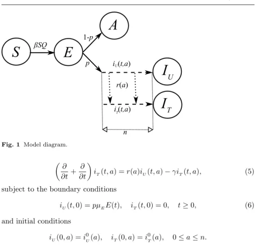 Fig. 1 Model diagram.