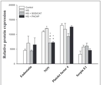 Figure 4.  Relative protein expression in carotid arteries,   part 1.