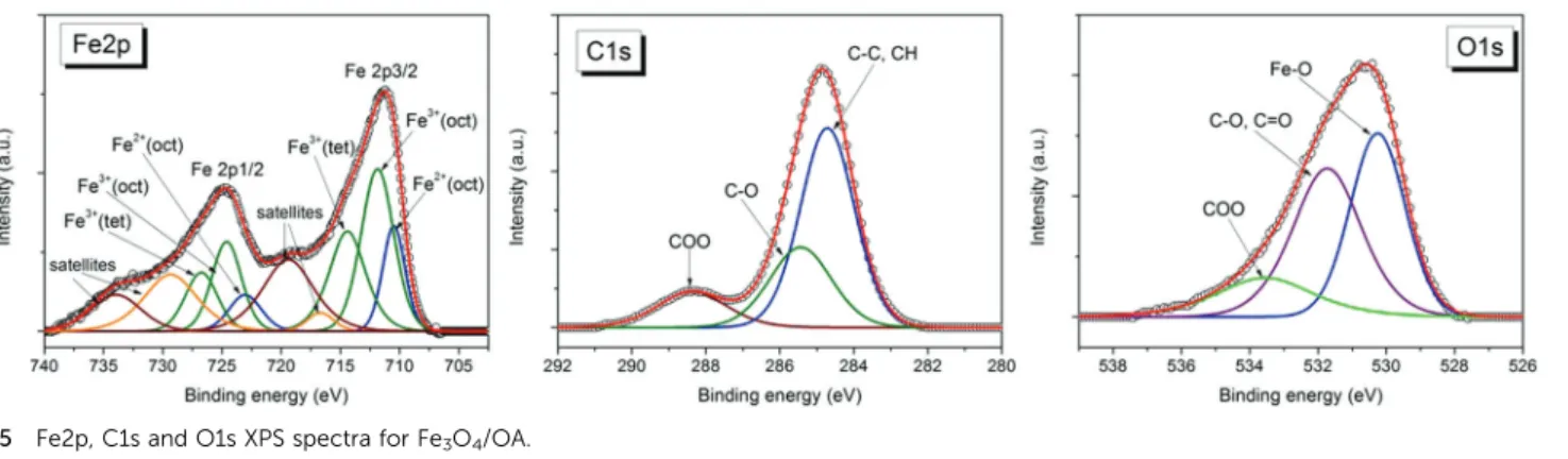 Table 5 Fitting parameters, including peaks positions, FWHM and calculated atomic concentrations from peak areas of Fe2p XPS spectra for the dried samples Fe 3 O 4 /OA and Fe 3 O 4 /CA