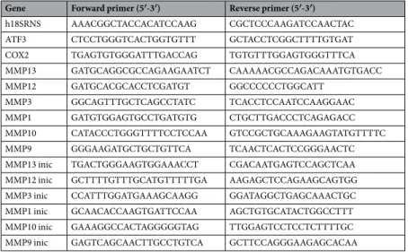 Table 1.  Sequences of primers used for qPCR reactions.