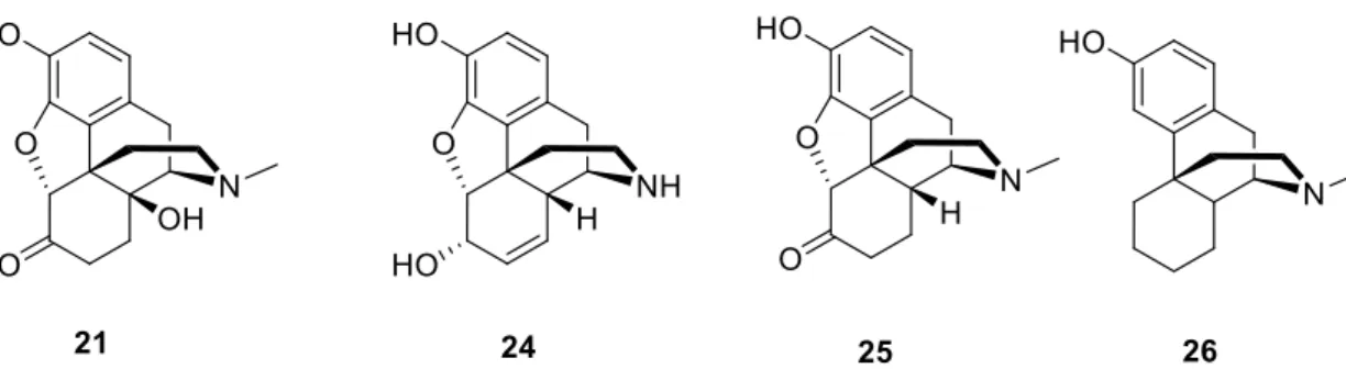 16. ábra. Opioid agonista hatású vegyületek. oximorfon (21), normorfin (24),  hidromorfon (25), levorfanol (26) 