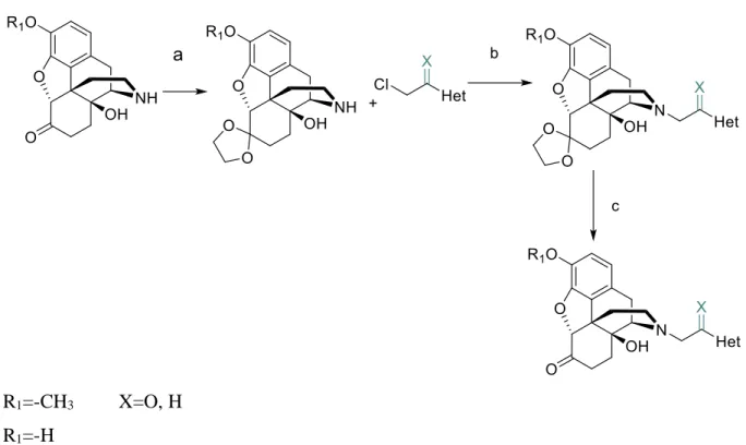 Figure 5.  Synthesis of N-ethly- and N-acethyl-4,5-epoxymorphinanes: a) Na 2 CO 3 , DMF,  70  ̊C, 10 h 