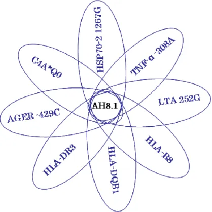 7. ábra. Az AH8.1-es ősi haplotípus azonosítása, szemléltető ábrázolás. 