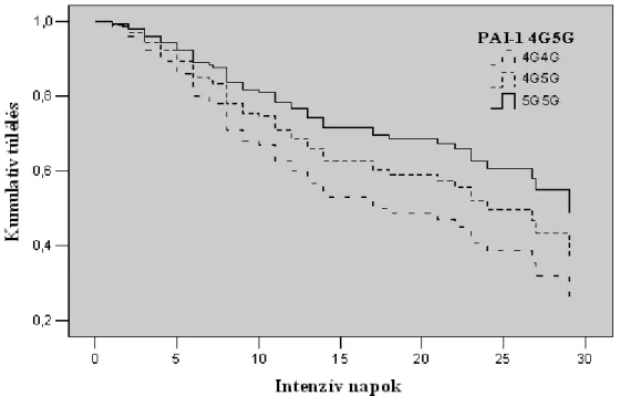 9. ábra. A PAI-1 4G/5G polimorfizmus genotípusaihoz tartozó Cox-regressziós túlélési  görbék a teljes betegcsoport esetében