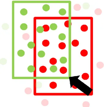 8. ábra A szoftver által generált kernel (pirossal jelölve) felismerése a  következő képkockán (zölddel jelölve) a speckle mintázatban lévő 