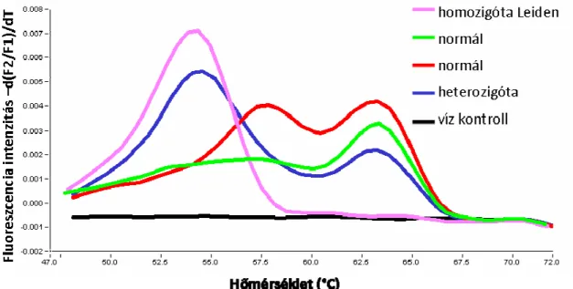 8. ábra: Szimmetrikus PCR-t követő olvadáspont analízis (FV Leiden) 